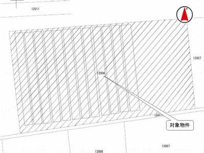 長野県諏訪郡原村 青柳駅 農地 130万円の国税庁公売物件情報 #3