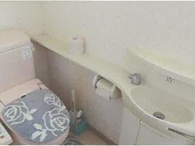 秋田県潟上市 大久保駅10分 戸建て 375万円の競売物件情報 #10
