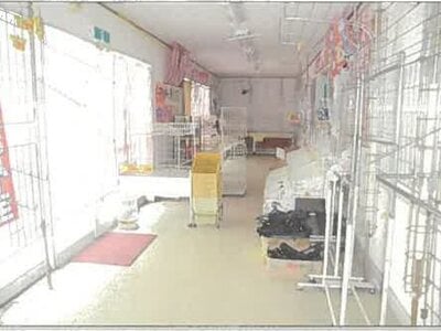 秋田県由利本荘市 矢島駅11分 戸建て 168万円の競売物件情報 #11