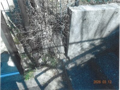 大阪府堺市西区 上野芝駅6分 戸建て 2,939万円の競売物件情報 #3
