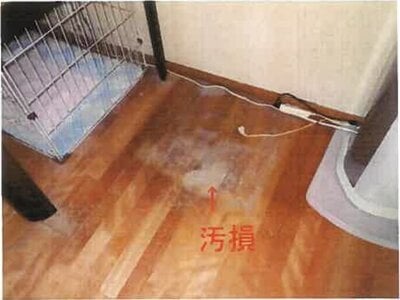 和歌山県橋本市 林間田園都市駅26分 戸建て 495万円の競売物件情報 #10