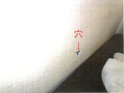 和歌山県岩出市 下井阪駅12分 戸建て 620万円の競売物件情報 #6