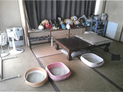 山形県天童市 乱川駅7分 戸建て 324万円の競売物件情報 #12
