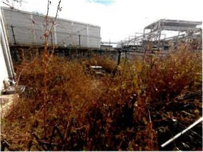 埼玉県川口市 見沼代親水公園駅27分 戸建て 1,061万円の競売物件情報 #13
