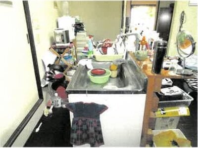 (値下げ) 埼玉県蓮田市 伊奈中央駅 マンション 117万円の競売物件情報 #3