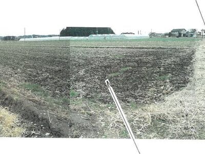 栃木県塩谷郡高根沢町 芳賀・高根沢工業団地駅 農地 37万円の競売物件情報 #3