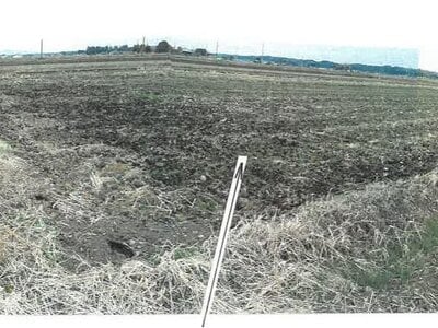 栃木県塩谷郡高根沢町 芳賀・高根沢工業団地駅 農地 37万円の競売物件情報 #4