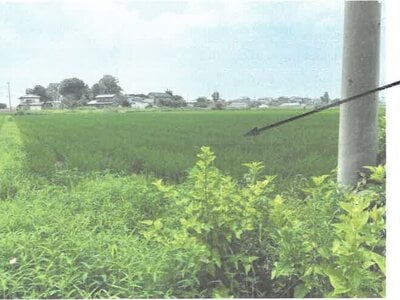 (値下げ) 栃木県栃木市 野木駅 農地 33万円の競売物件情報 #2