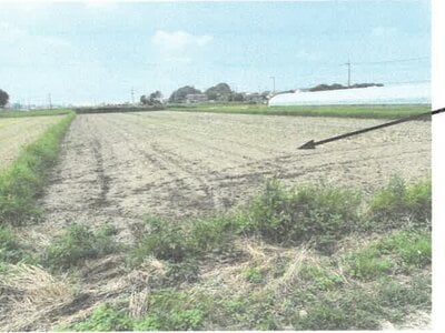 栃木県栃木市 野木駅 農地 48万円の競売物件情報 #2