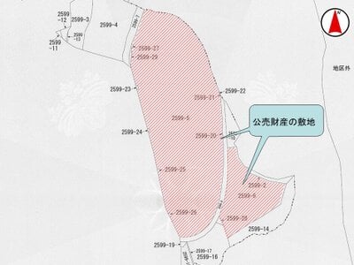 大阪府河内長野市 美加の台駅29分 マンション「ロジェ長野」296万円の国税庁公売物件情報 #11