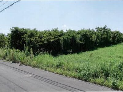 (値下げ) 愛知県豊橋市 豊川駅 農地 72万円の競売物件情報 #4