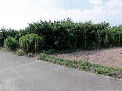 (値下げ) 愛知県豊橋市 豊川駅 農地 55万円の競売物件情報 #6
