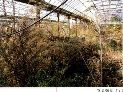 (値下げ) 愛知県田原市 農地 53万円の競売物件情報 #8