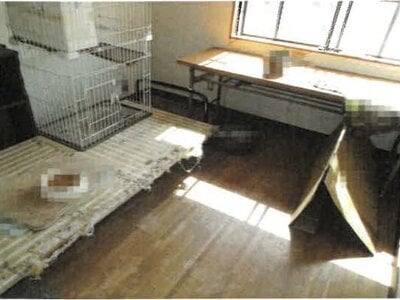 岡山県玉野市 八浜駅18分 戸建て 430万円の競売物件情報 #7
