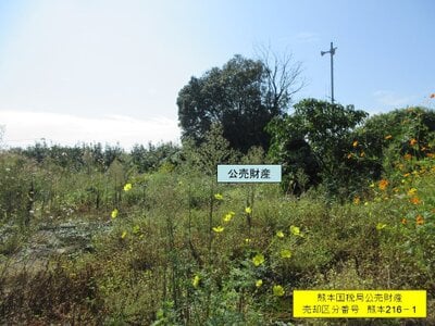 熊本県山鹿市 土地 196万円の国税庁公売物件情報 #2