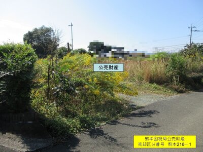熊本県山鹿市 土地 196万円の国税庁公売物件情報 #3