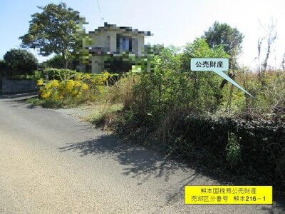 熊本県山鹿市 土地 196万円の国税庁公売物件情報 #4