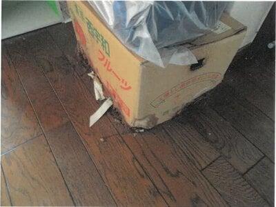 (値下げ) 大阪府枚方市 藤阪駅10分 マンション「藤阪ハイツ」279万円の競売物件情報 #11