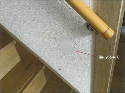 佐賀県佐賀市 久保田駅 戸建て 386万円の競売物件情報 #12