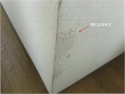 佐賀県佐賀市 久保田駅 戸建て 386万円の競売物件情報 #18