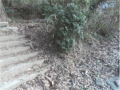 佐賀県三養基郡みやき町 中原駅28分 戸建て 24万円の競売物件情報 #4