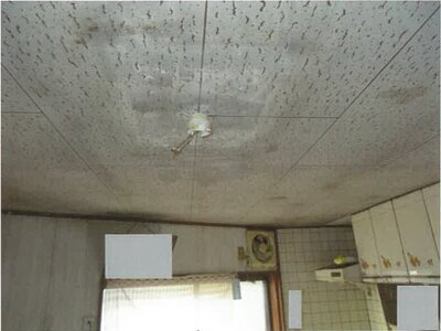 (値下げ) 佐賀県鹿島市 肥前鹿島駅18分 戸建て 389万円の競売物件情報 #21