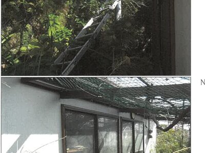 (値下げ) 鹿児島県鹿児島市 高見橋駅 戸建て 143万円の競売物件情報 #14