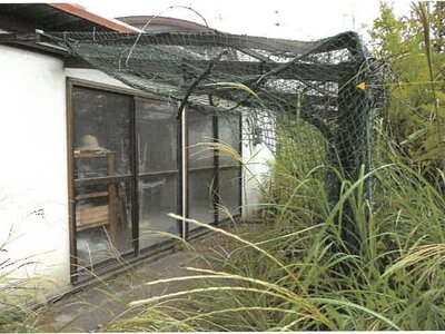 (値下げ) 鹿児島県鹿児島市 高見橋駅 戸建て 143万円の競売物件情報 #5