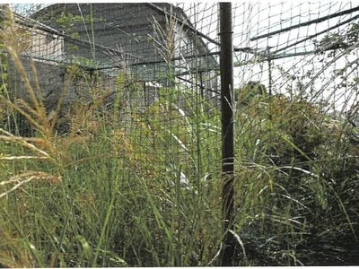 (値下げ) 鹿児島県鹿児島市 高見橋駅 戸建て 143万円の競売物件情報 #6