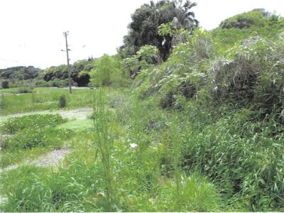 鹿児島県阿久根市 折口駅 戸建て 1,371万円の競売物件情報 #13