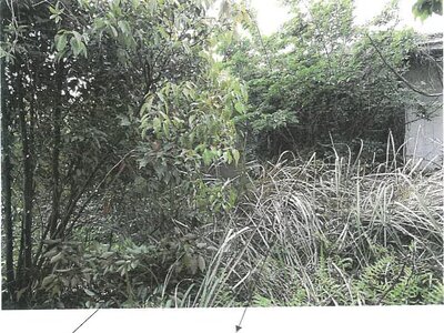 鹿児島県姶良市 錦江駅15分 戸建て 247万円の競売物件情報 #11