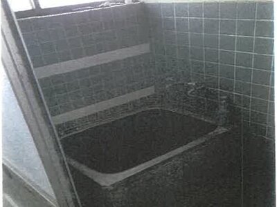 鹿児島県鹿児島市 仙巌園駅 戸建て 334万円の競売物件情報 #12