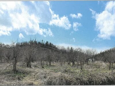 北海道中川郡幕別町 土地 117万円の競売物件情報 #6