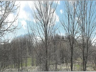 北海道中川郡幕別町 土地 117万円の競売物件情報 #8