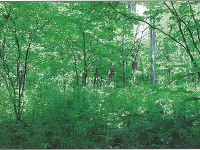 北海道河西郡芽室町 芽室駅 戸建て 651万円の競売物件情報 #5