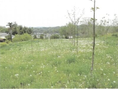 群馬県安中市 安中駅18分 農地 804万円の競売物件情報 #2