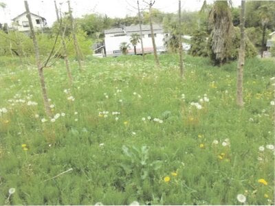 群馬県安中市 安中駅18分 農地 804万円の競売物件情報 #4