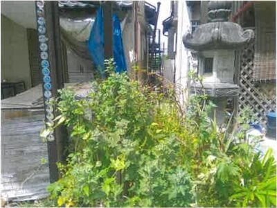 (値下げ) 大阪府泉南市 新家駅9分 戸建て 251万円の競売物件情報 #2