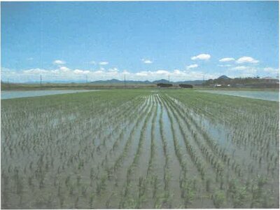 (値下げ) 滋賀県守山市 野洲駅 農地 81万円の競売物件情報 #2