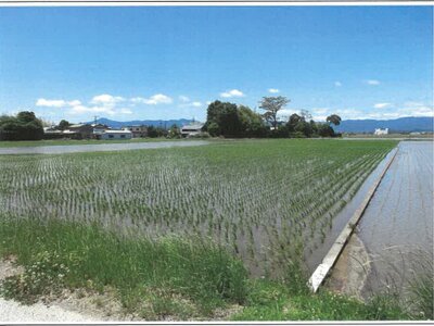 (値下げ) 滋賀県守山市 野洲駅 農地 81万円の競売物件情報 #6