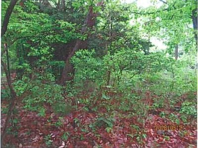 長野県茅野市 青柳駅 土地 298万円の競売物件情報 #3