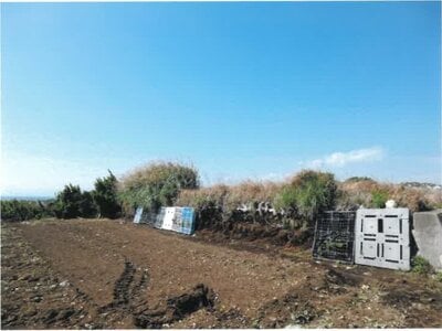 神奈川県三浦市 三崎口駅 農地 526万円の競売物件情報 #2
