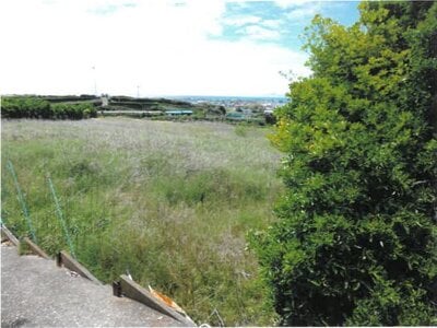 神奈川県三浦市 三崎口駅 農地 526万円の競売物件情報 #3