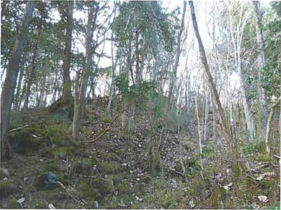 静岡県裾野市 土地 37万円の競売物件情報 #2
