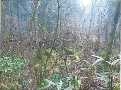 静岡県裾野市 土地 37万円の競売物件情報 #3