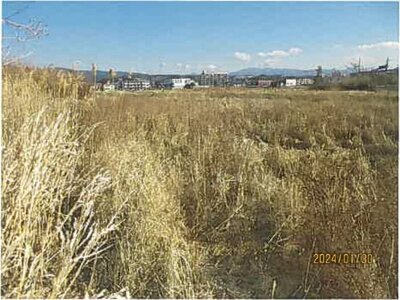 静岡県沼津市 片浜駅9分 農地 29万円の競売物件情報 #2