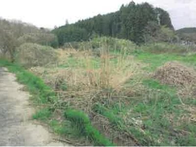 鳥取県米子市 岸本駅28分 土地 110万円の競売物件情報 #2
