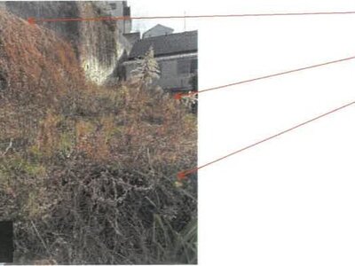 福岡県福岡市早良区 野芥駅21分 農地 1,272万円の競売物件情報 #26