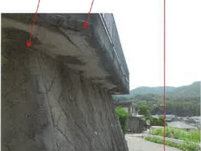 長崎県諫早市 市布駅6分 戸建て 226万円の競売物件情報 #10