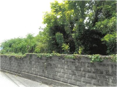 徳島県阿波市 鴨島駅 戸建て 263万円の競売物件情報 #16